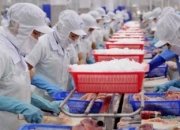 Việt Nam lọt top 4 đối tác xuất khẩu thủy sản lớn nhất vào Singapore